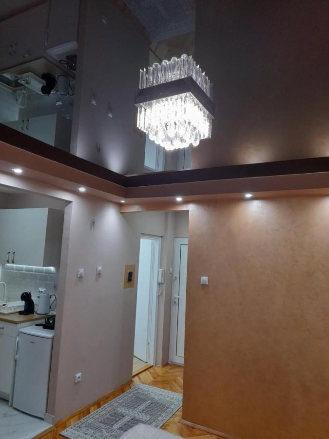 Iva Lux Apartman Zaječar Eksteriør billede