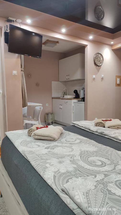 Iva Lux Apartman Zaječar Eksteriør billede